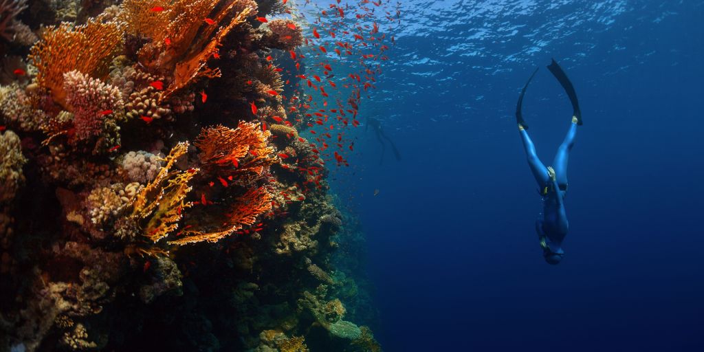 a-man-freediving-what-is-freediving