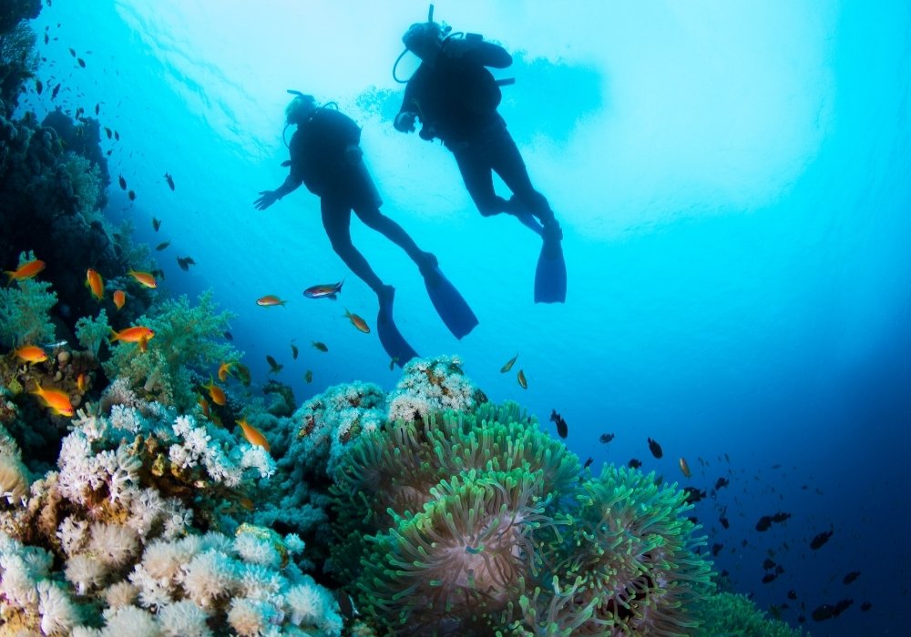 two scuba divers scuba diving in dapitan-best scuba diving sites in dapitan-dapitan scuba diving