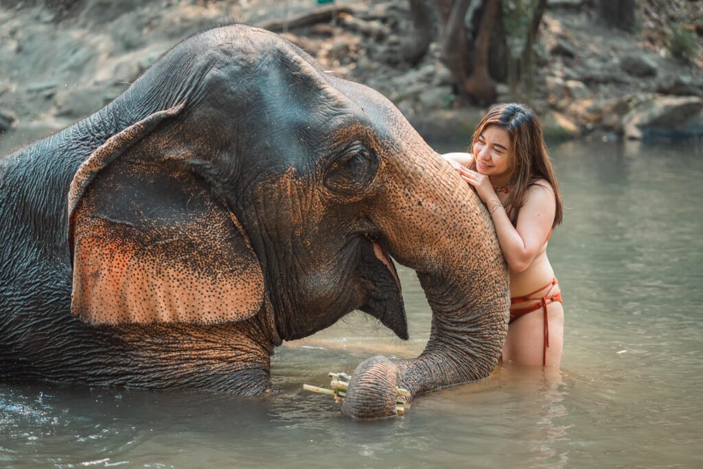 first-solo-international-trip-thailand-birthday-Solo Female Travel Blog-The Orange Mermaid by Michelle Dano-solo travel in Thailand-female solo travel in chiang mai thailand