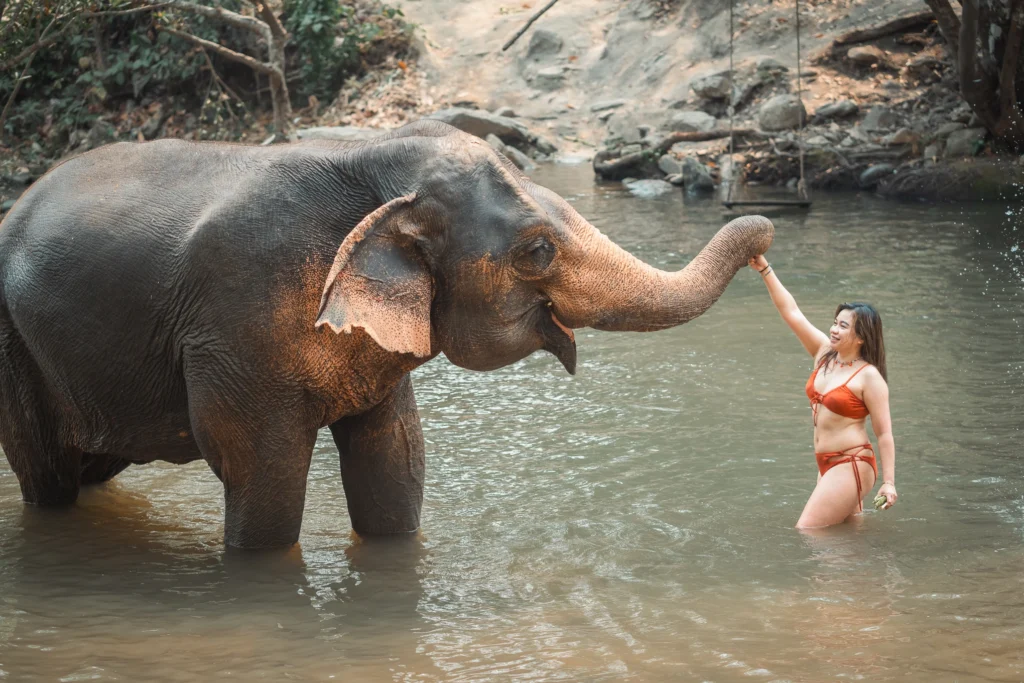 a-solo-female-traveler-with-an-elephant-in-chai-lai-orchid-chiang-mai-thailand-chailaiorchid-chiangmai-thailand-travel