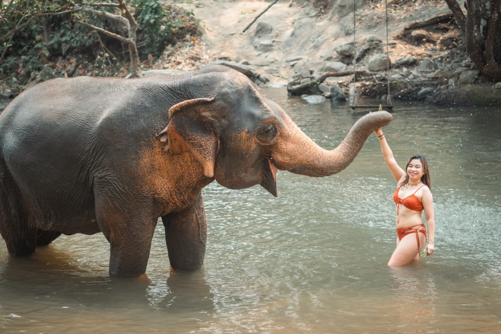 a-solo-female-traveler-with-an-elephant-in-chai-lai-orchid-chiang-mai-thailand-chailaiorchid-chiangmai-thailand-travel-2