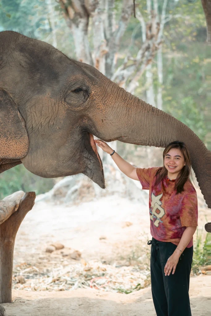a-solo-female-traveler-with-an-elephant-in-chai-lai-orchid-chiang-mai-thailand-chailaiorchid-chiangmai-thailand-travel-3 days in chiang mai-Chiang Mai 3 day itinerary