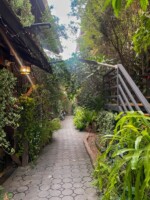 best things to do in chiang mai thailand-Hoh-Guesthouse-Chiang-Mai-Thailand-best place to stay in old town chiang mai thailand 2 Hoh-Guesthouse-Chiang-Mai-Thailand-best place to stay in old town chiang mai thailand 2